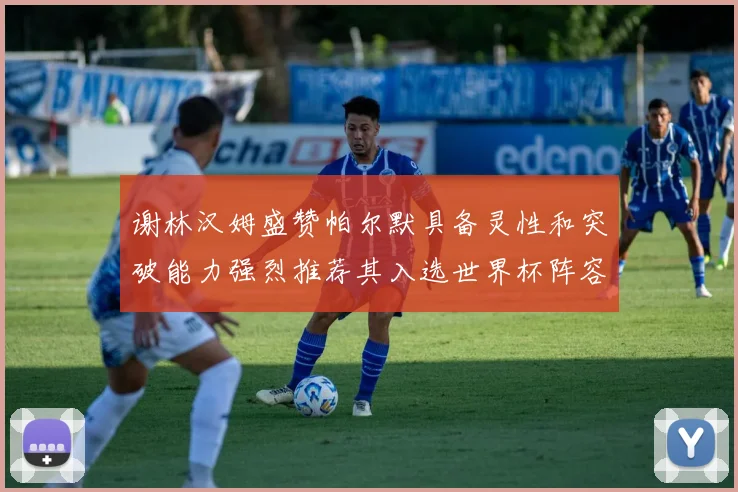 谢林汉姆盛赞帕尔默具备灵性和突破能力强烈推荐其入选世界杯阵容